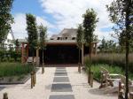 Tuin in Roosendaal met een laantje van Quercus ilex