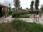 Tuin in Roosendaal met weelderige beplanting